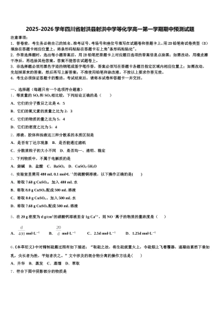 2025-2026学年四川省射洪县射洪中学等化学高一第一学期期中预测试题含解析