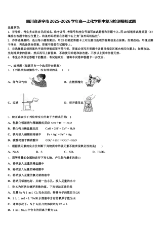 四川省遂宁市2025-2026学年高一上化学期中复习检测模拟试题含解析