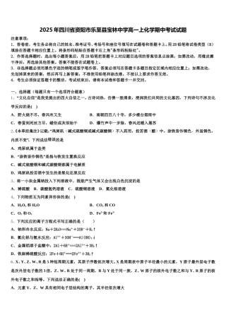 2025年四川省资阳市乐至县宝林中学高一上化学期中考试试题含解析