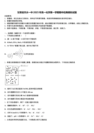 甘肃省天水一中2025年高一化学第一学期期中经典模拟试题含解析