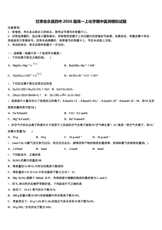 甘肃省永昌四中2026届高一上化学期中监测模拟试题含解析