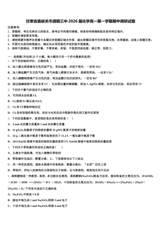 甘肃省嘉峪关市酒钢三中2026届化学高一第一学期期中调研试题含解析