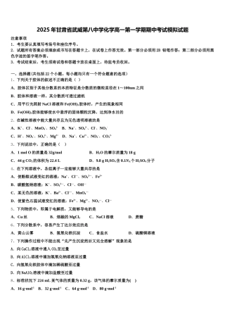 2025年甘肃省武威第八中学化学高一第一学期期中考试模拟试题含解析