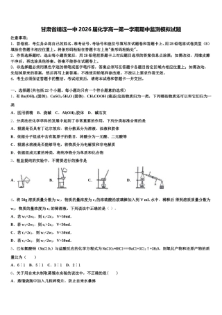 甘肃省靖远一中2026届化学高一第一学期期中监测模拟试题含解析