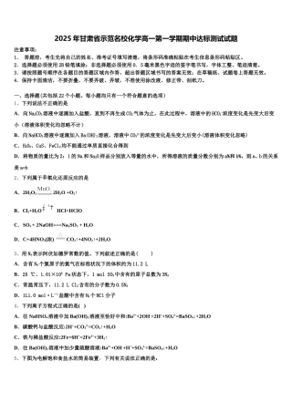 2025年甘肃省示范名校化学高一第一学期期中达标测试试题含解析