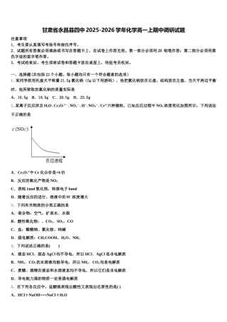 甘肃省永昌县四中2025-2026学年化学高一上期中调研试题含解析