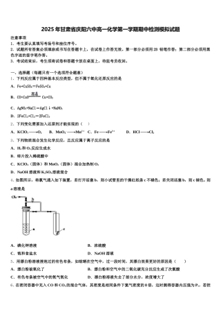 2025年甘肃省庆阳六中高一化学第一学期期中检测模拟试题含解析