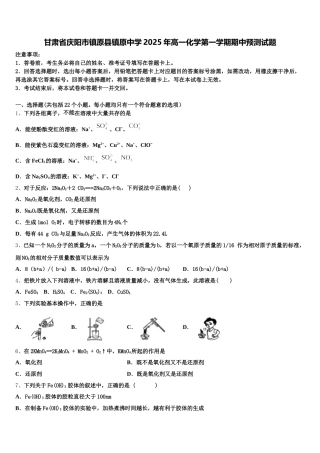 甘肃省庆阳市镇原县镇原中学2025年高一化学第一学期期中预测试题含解析