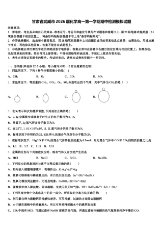 甘肃省武威市2026届化学高一第一学期期中检测模拟试题含解析