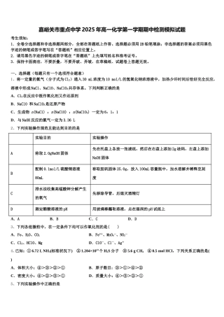 嘉峪关市重点中学2025年高一化学第一学期期中检测模拟试题含解析