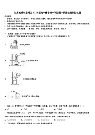 甘肃武威市凉州区2026届高一化学第一学期期中质量检测模拟试题含解析