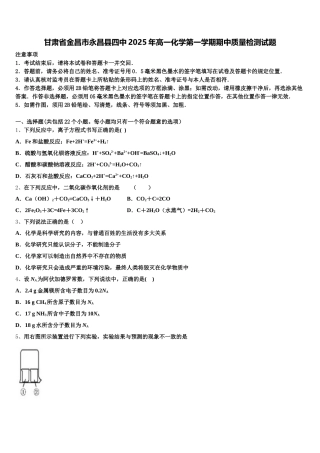 甘肃省金昌市永昌县四中2025年高一化学第一学期期中质量检测试题含解析