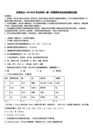 甘肃武山一中2025年化学高一第一学期期中综合测试模拟试题含解析