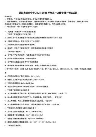 通辽市重点中学2025-2026学年高一上化学期中考试试题含解析