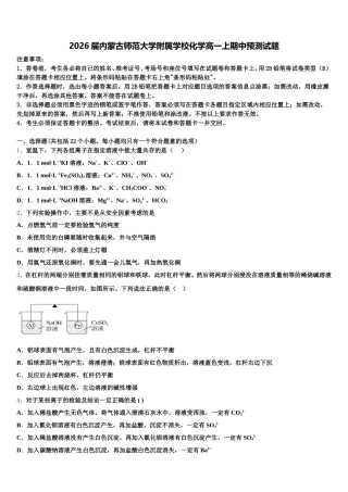 2026届内蒙古师范大学附属学校化学高一上期中预测试题含解析