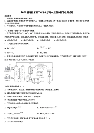 2026届海拉尔第二中学化学高一上期中复习检测试题含解析