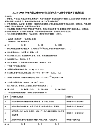 2025-2026学年内蒙古赤峰市宁城县化学高一上期中学业水平测试试题含解析