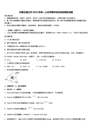 内蒙古通辽市2025年高一上化学期中综合测试模拟试题含解析
