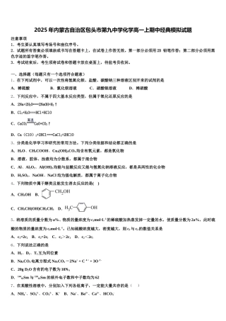2025年内蒙古自治区包头市第九中学化学高一上期中经典模拟试题含解析