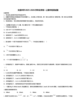 文昌中学2025-2026学年化学高一上期中检测试题含解析