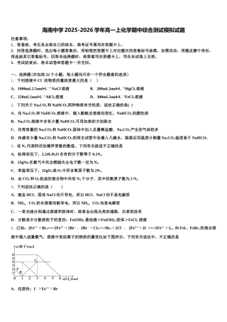 海南中学2025-2026学年高一上化学期中综合测试模拟试题含解析