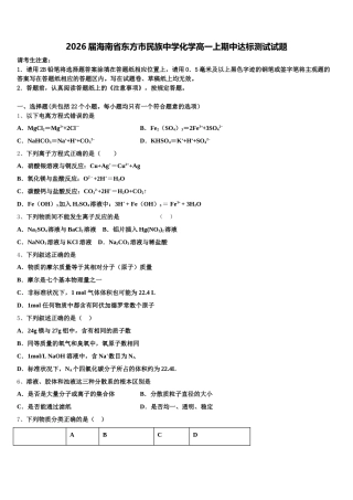 2026届海南省东方市民族中学化学高一上期中达标测试试题含解析