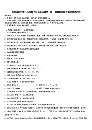 海南省东方市八所中学2025年化学高一第一学期期中学业水平测试试题含解析