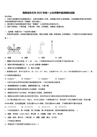 海南省东方市2025年高一上化学期中监测模拟试题含解析