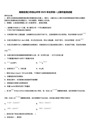 海南省海口市琼山中学2025年化学高一上期中监测试题含解析