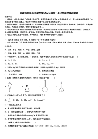 海南省临高县 临高中学 2026届高一上化学期中预测试题含解析