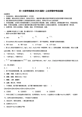 天一大联考海南省2026届高一上化学期中考试试题含解析