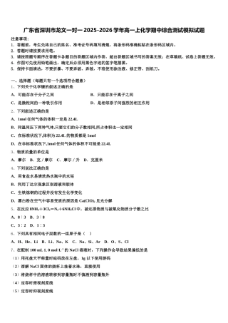 广东省深圳市龙文一对一2025-2026学年高一上化学期中综合测试模拟试题含解析