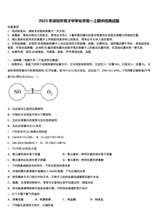 2025年深圳市育才中学化学高一上期中经典试题含解析