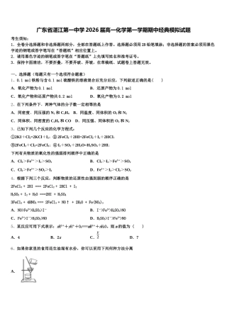 广东省湛江第一中学2026届高一化学第一学期期中经典模拟试题含解析