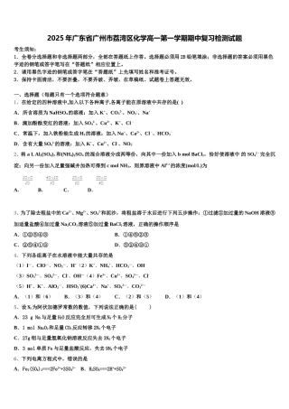 2025年广东省广州市荔湾区化学高一第一学期期中复习检测试题含解析