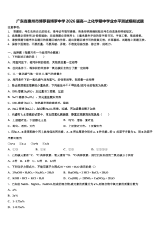 广东省惠州市博罗县博罗中学2026届高一上化学期中学业水平测试模拟试题含解析