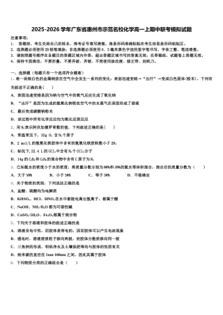 2025-2026学年广东省惠州市示范名校化学高一上期中联考模拟试题含解析