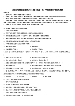 深圳四校发展联盟体2026届化学高一第一学期期中统考模拟试题含解析