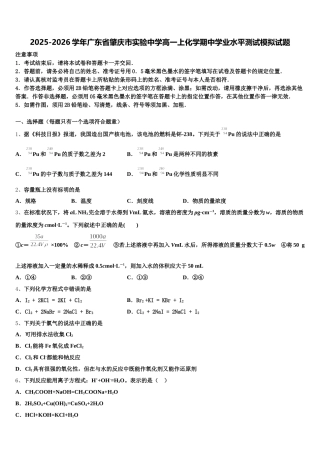 2025-2026学年广东省肇庆市实验中学高一上化学期中学业水平测试模拟试题含解析