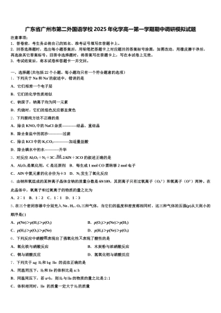 广东省广州市第二外国语学校2025年化学高一第一学期期中调研模拟试题含解析
