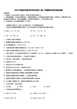 2025年潮州市重点中学化学高一第一学期期中综合测试试题含解析