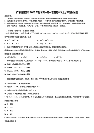 广东省湛江市2025年化学高一第一学期期中学业水平测试试题含解析