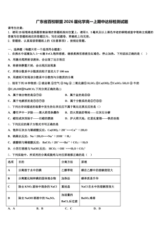 广东省百校联盟2026届化学高一上期中达标检测试题含解析