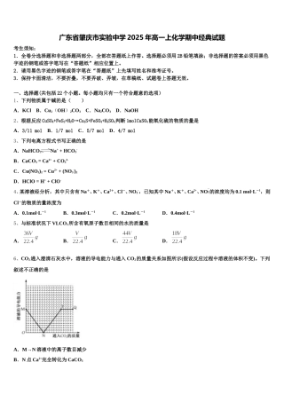广东省肇庆市实验中学2025年高一上化学期中经典试题含解析