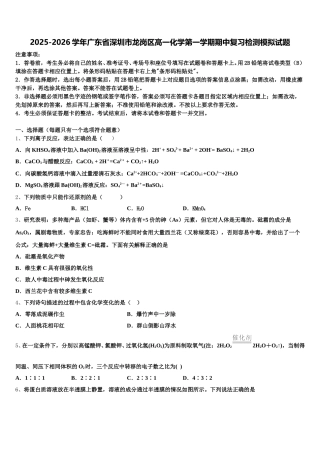 2025-2026学年广东省深圳市龙岗区高一化学第一学期期中复习检测模拟试题含解析
