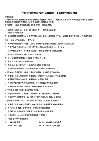 广东省茂名地区2025年化学高一上期中联考模拟试题含解析