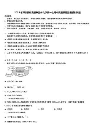 2025年深圳四校发展联盟体化学高一上期中质量跟踪监视模拟试题含解析