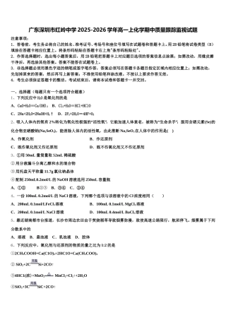 广东深圳市红岭中学2025-2026学年高一上化学期中质量跟踪监视试题含解析
