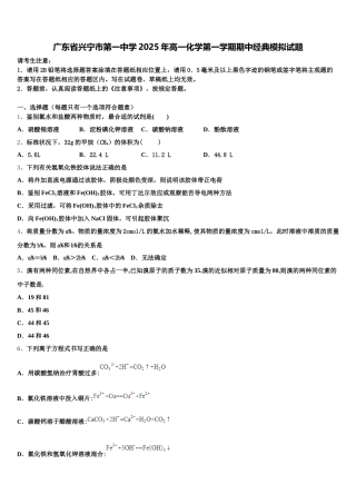 广东省兴宁市第一中学2025年高一化学第一学期期中经典模拟试题含解析