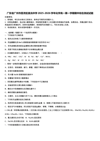 广东省广州市荔湾区真光中学2025-2026学年化学高一第一学期期中综合测试试题含解析